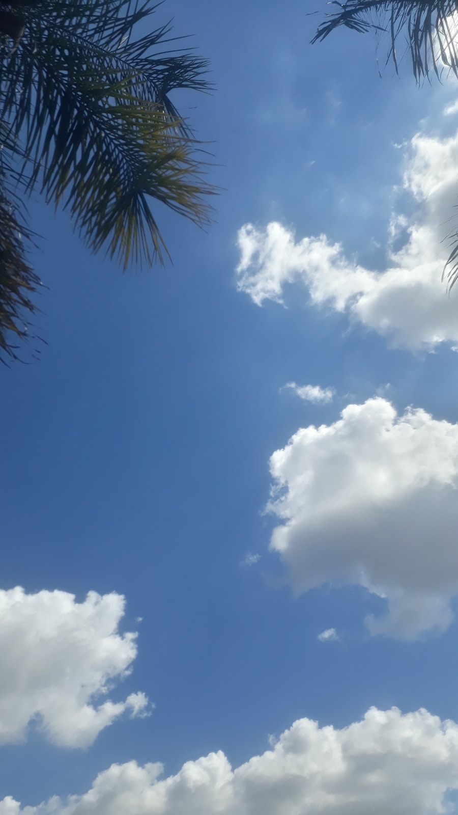 Photo Air quality improvement services Florida