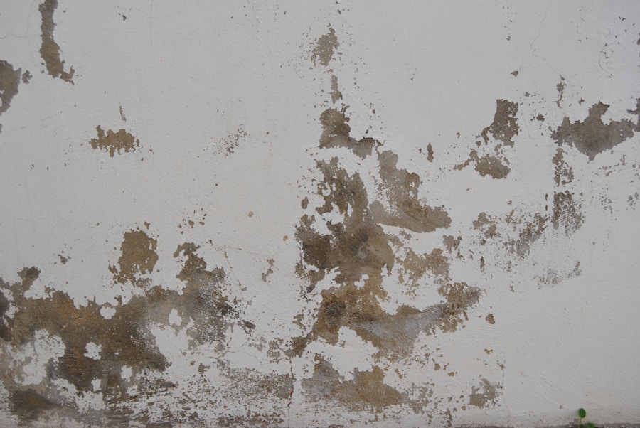 Photo "Mold, Dust & Allergen Removal Keywords"