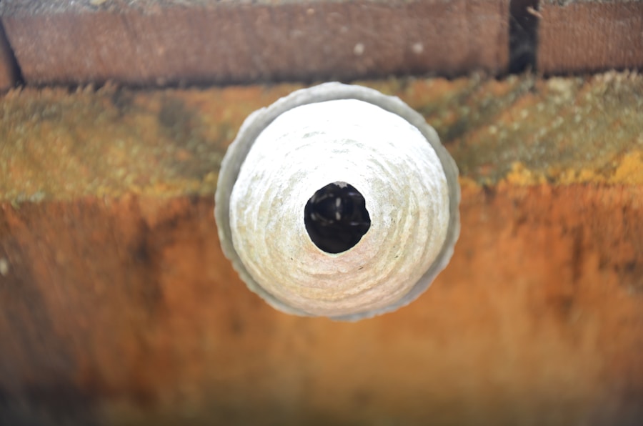 Photo "Mold in air ducts removal service Florida"