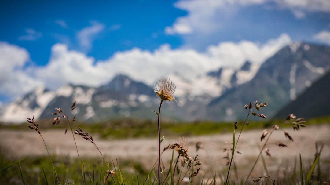 Photo Clean dryer vent