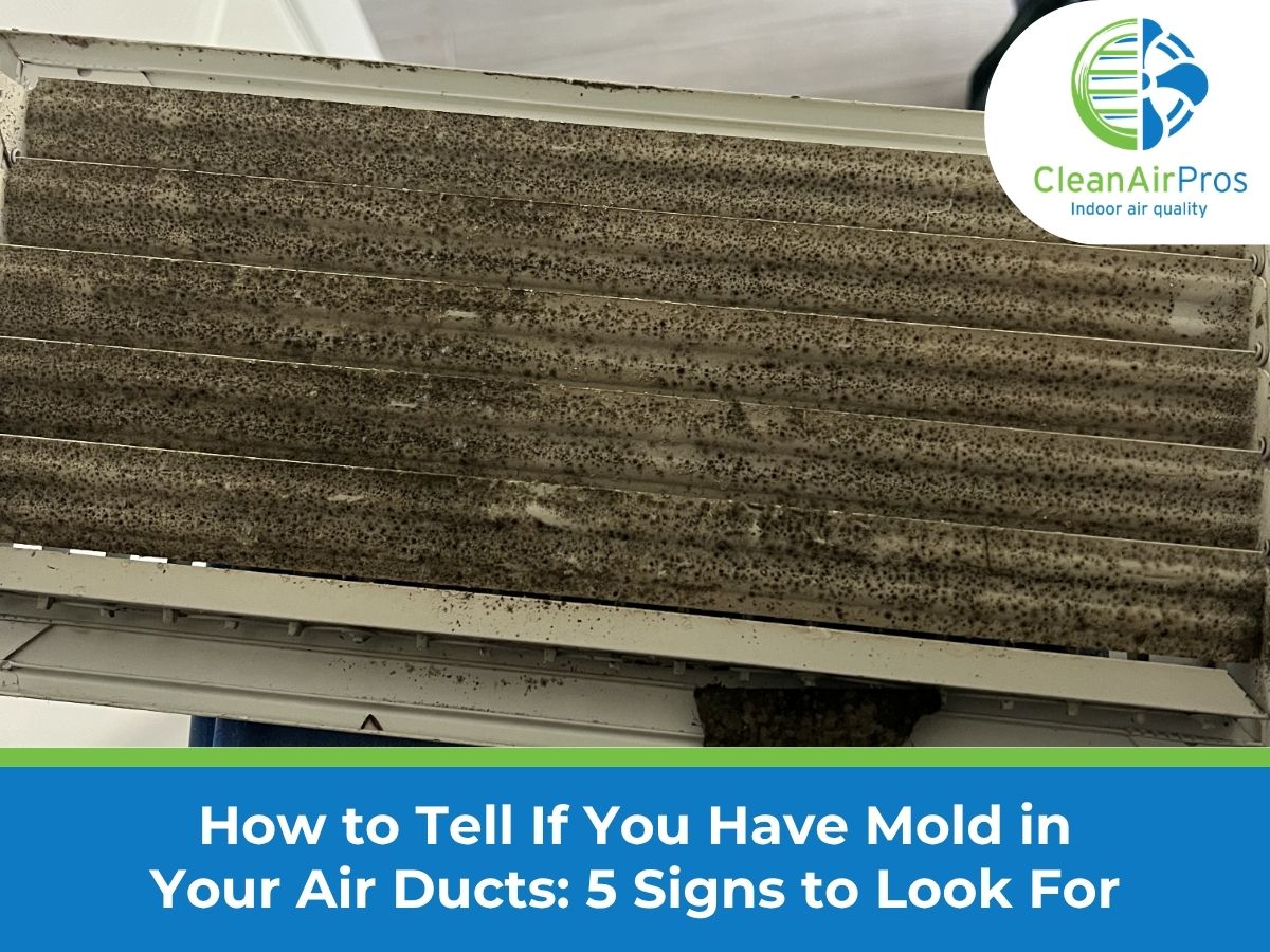 Close-up of a residential air duct with visible mold growth, overlaid text: 'How to Tell If You Have Mold in Your Air Ducts: 5 Signs to Look For,' highlighting indoor air quality and mold inspection by CleanAirPros.